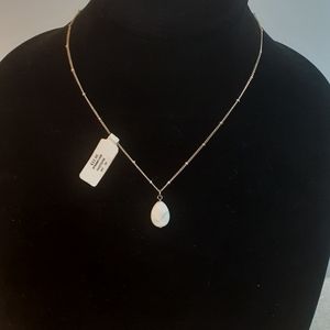 NWT Semi-Precious Stone with Chain